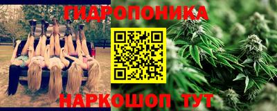 скорость Гагарин