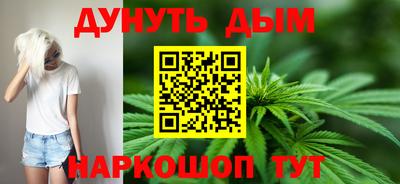 гидра Гатчина