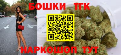 гидра Гатчина