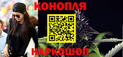 гидра Гатчина