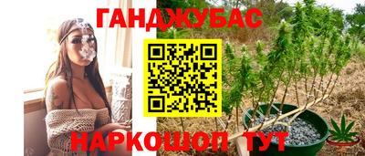 скорость Гагарин