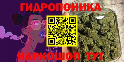 гидра Гатчина
