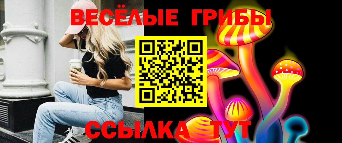 Псилоцибиновые грибы Magic Shrooms Кашира